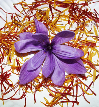Saffron(e).jpg